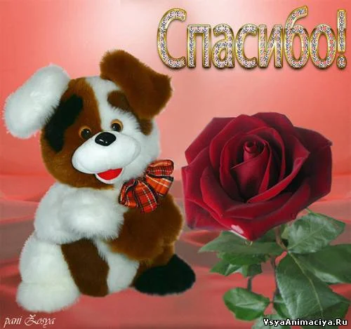 46174182.webp