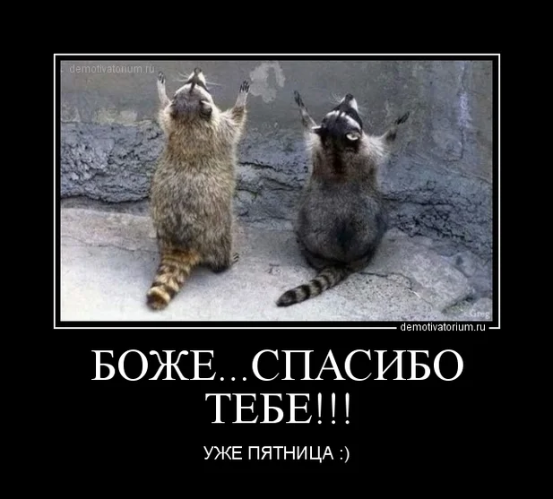 470589ea86e13a301f0280b51d8d5c98_b12117e4354e1a9b4460f9a9c22b57d3.webp