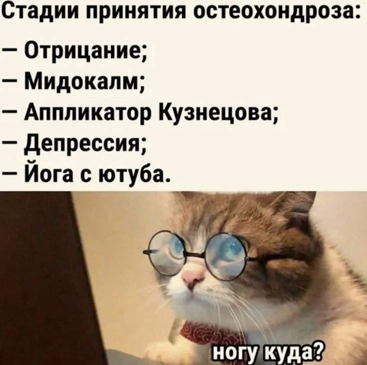 47216dab638efee6d1aea3d32caa72c5 (1).webp