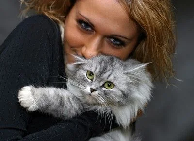 47503.webp
