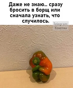 4750503_295x460.webp