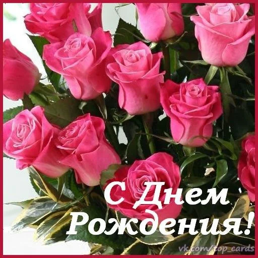 4751.webp