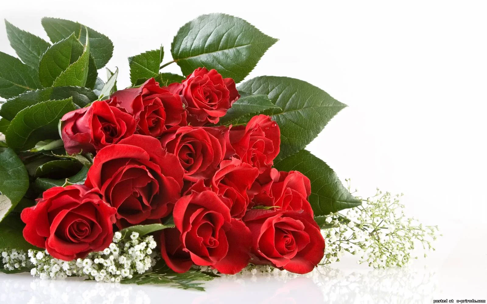 478823764.webp