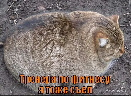 47xjXjtcwtc.webp