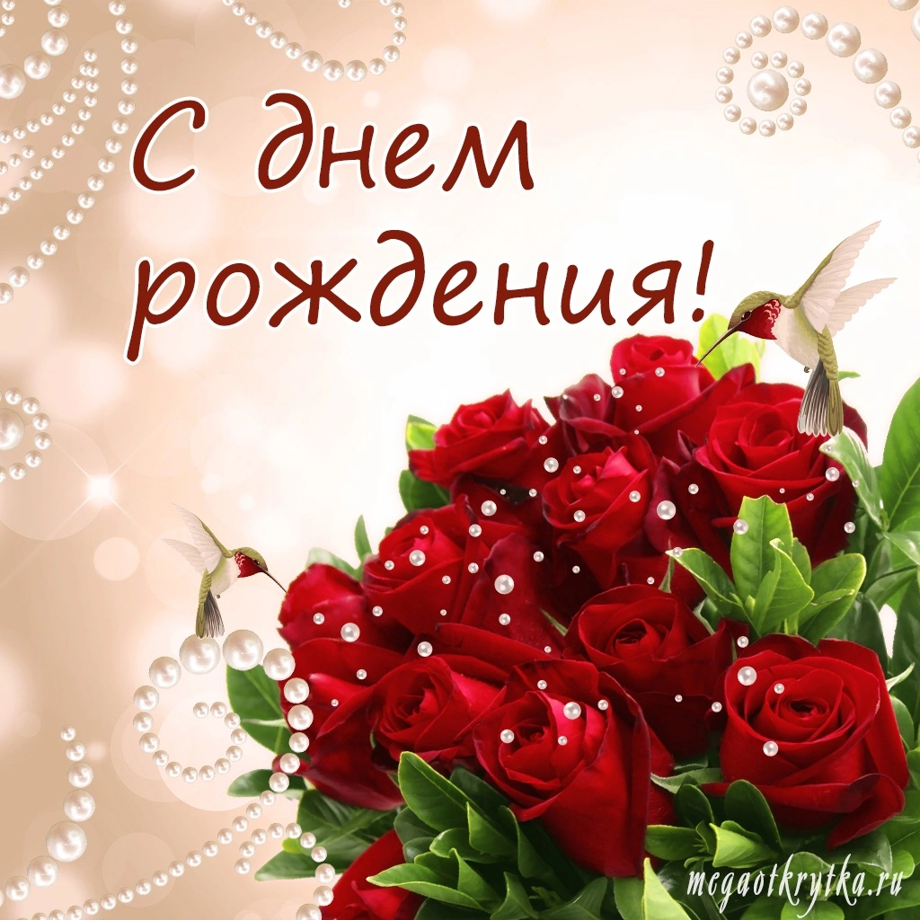 4816.webp