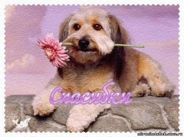 483077601.webp