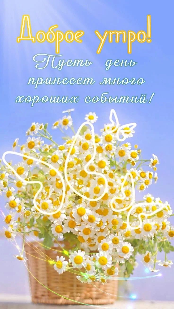 483dca52422a9b5449d70b1faadf5dae.webp