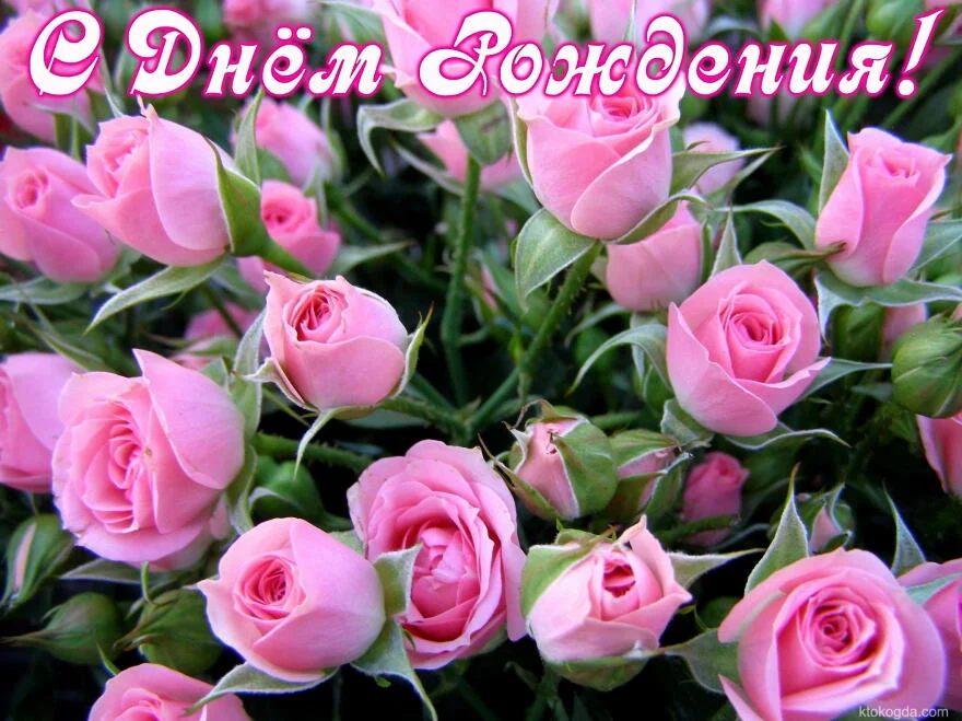 48556040493ac0a126670e7be1d6577a.webp