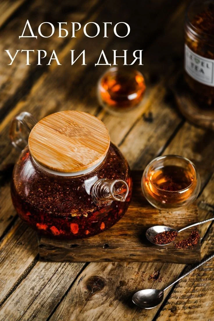 488a3072f92148af6d133a7dfe65a672.webp
