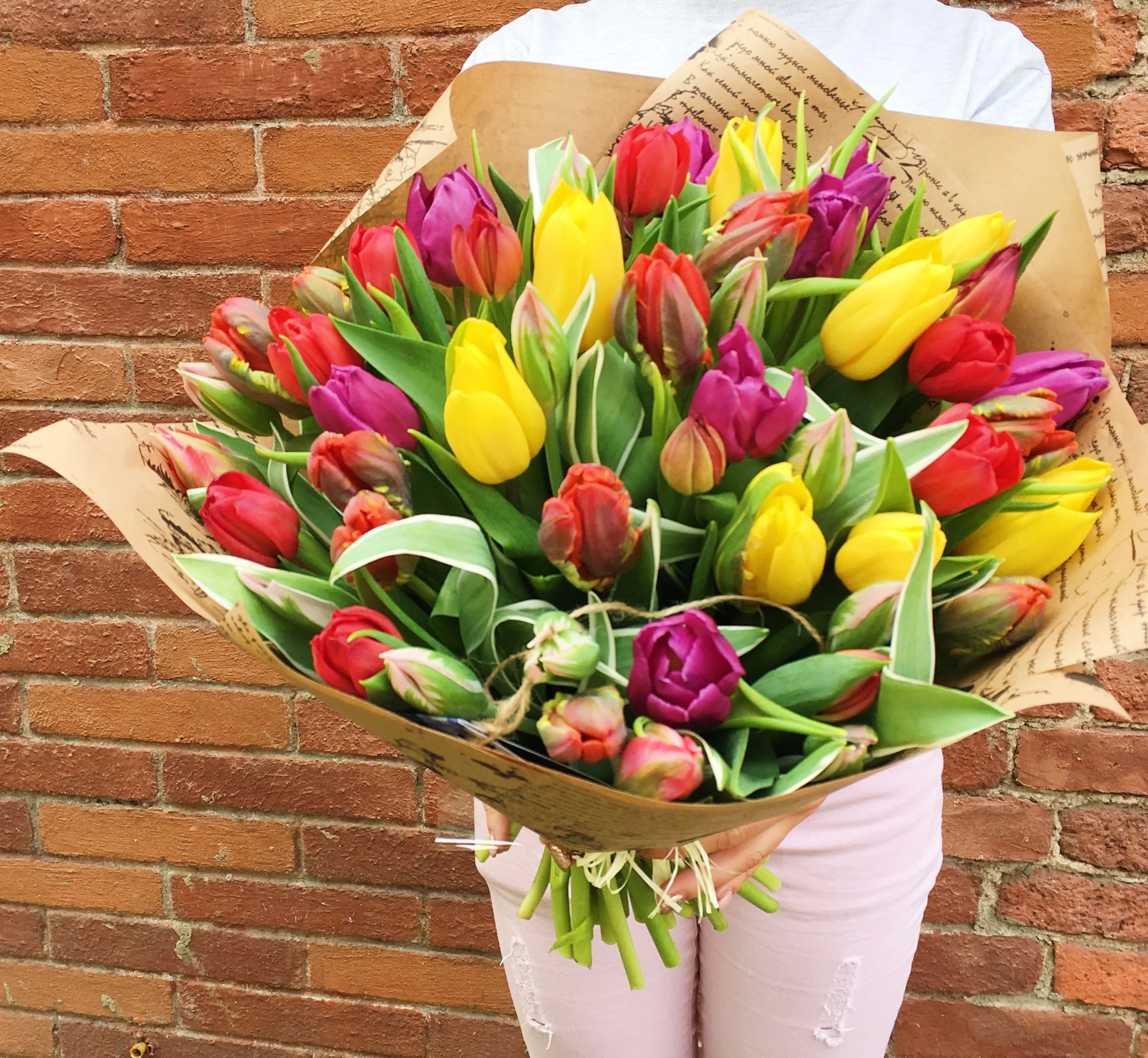 48c3a049561ed26b8086dfe9722f55e9 (1).webp