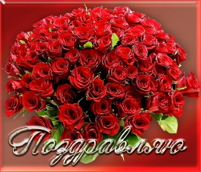 4950074.webp