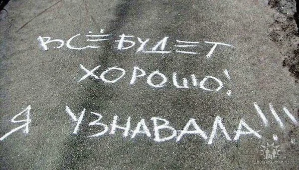 4962.webp