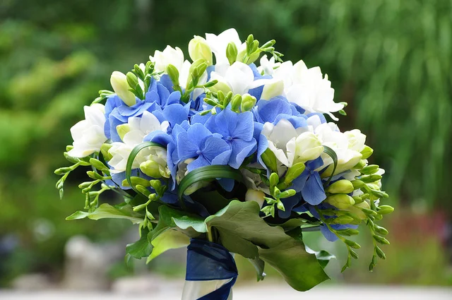 4966470719_30ccc08ebe_z.webp