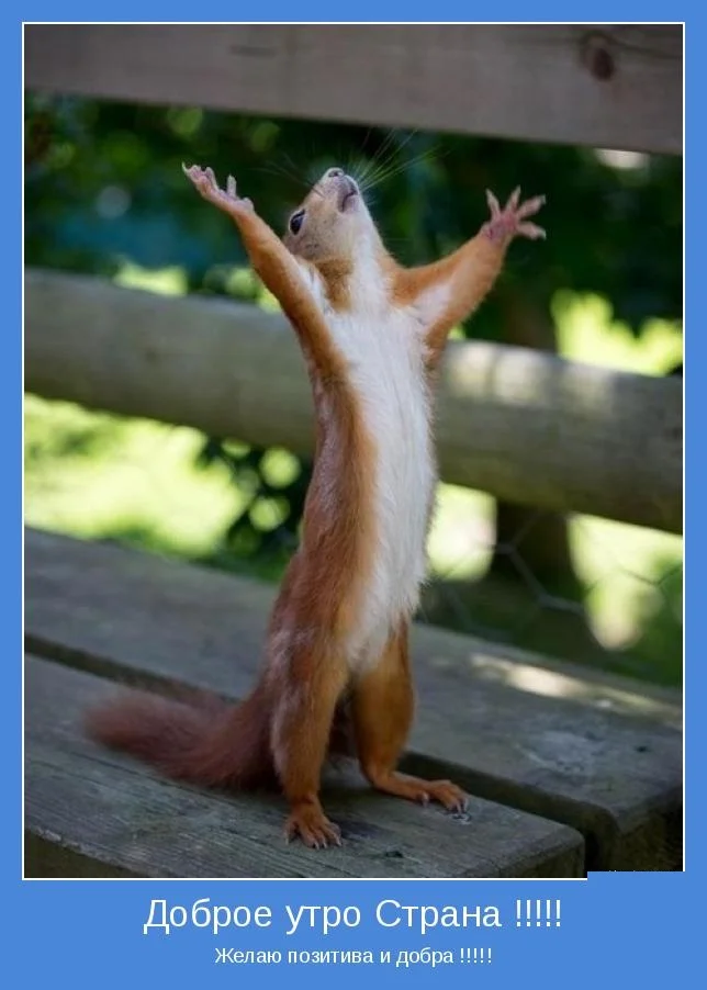 4_kartinki-s-dobrym-utrom-i-pozitivom.webp