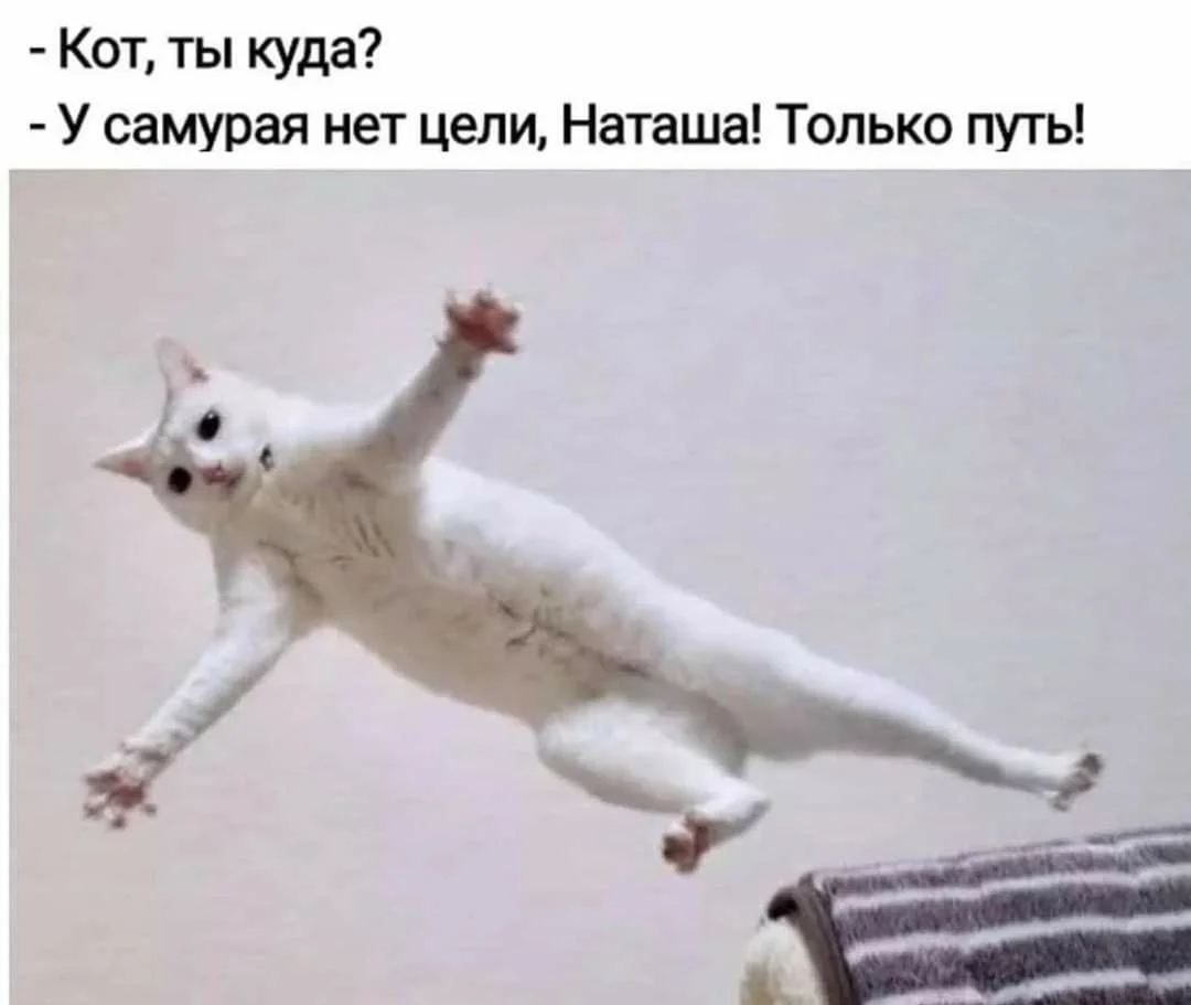 4a658d430f68bb0b908f3865ea21af69[1].webp