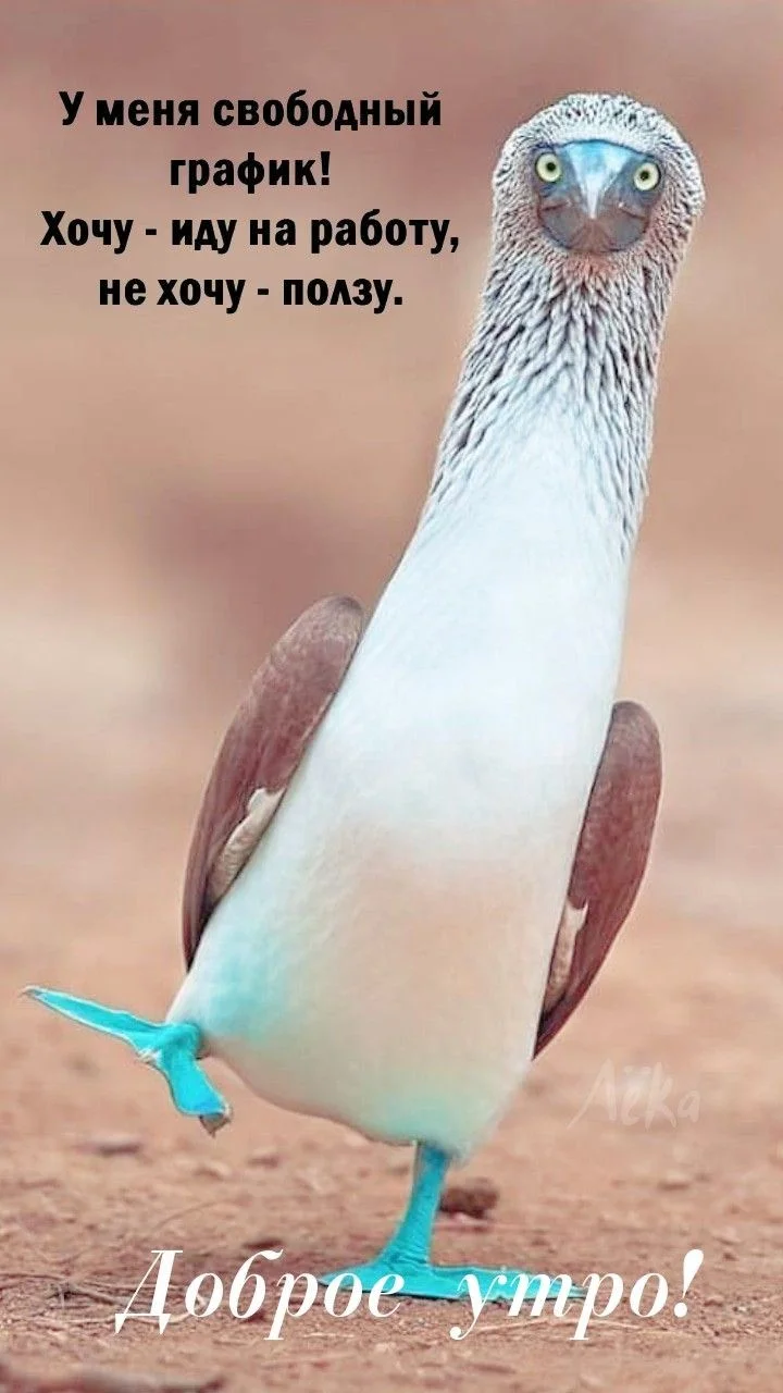 4a6c4a44c4714be6c53070412e8e945e (1).webp