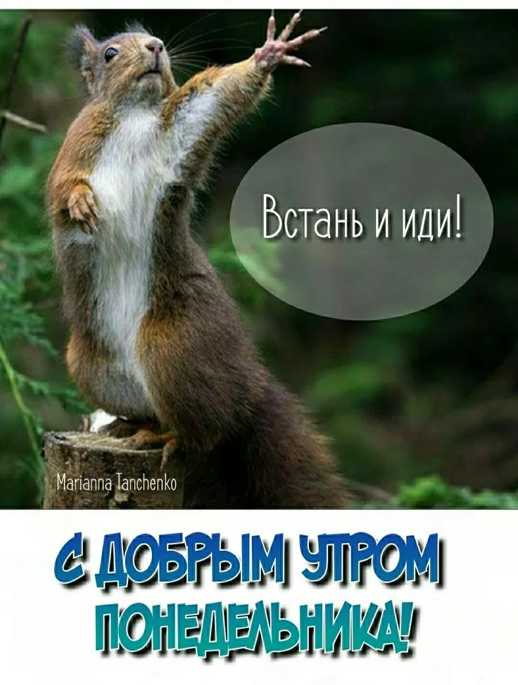 4b87ea85d4f87cebc0ea1cd92642477a.webp