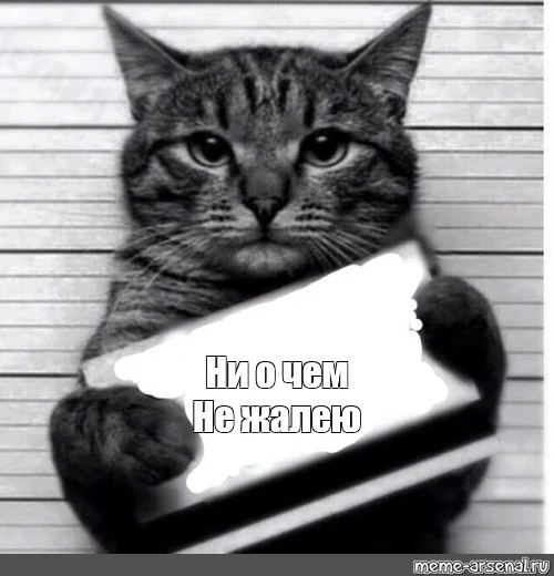 4c266d87c36419eaf84a8717ce0bc984.webp