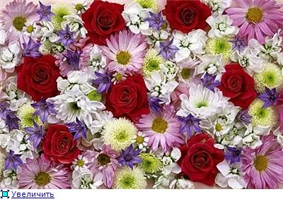 4c5b80417daet.webp