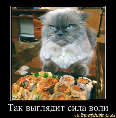 4e66fdcffd2b70bd668104c55abe642d.webp