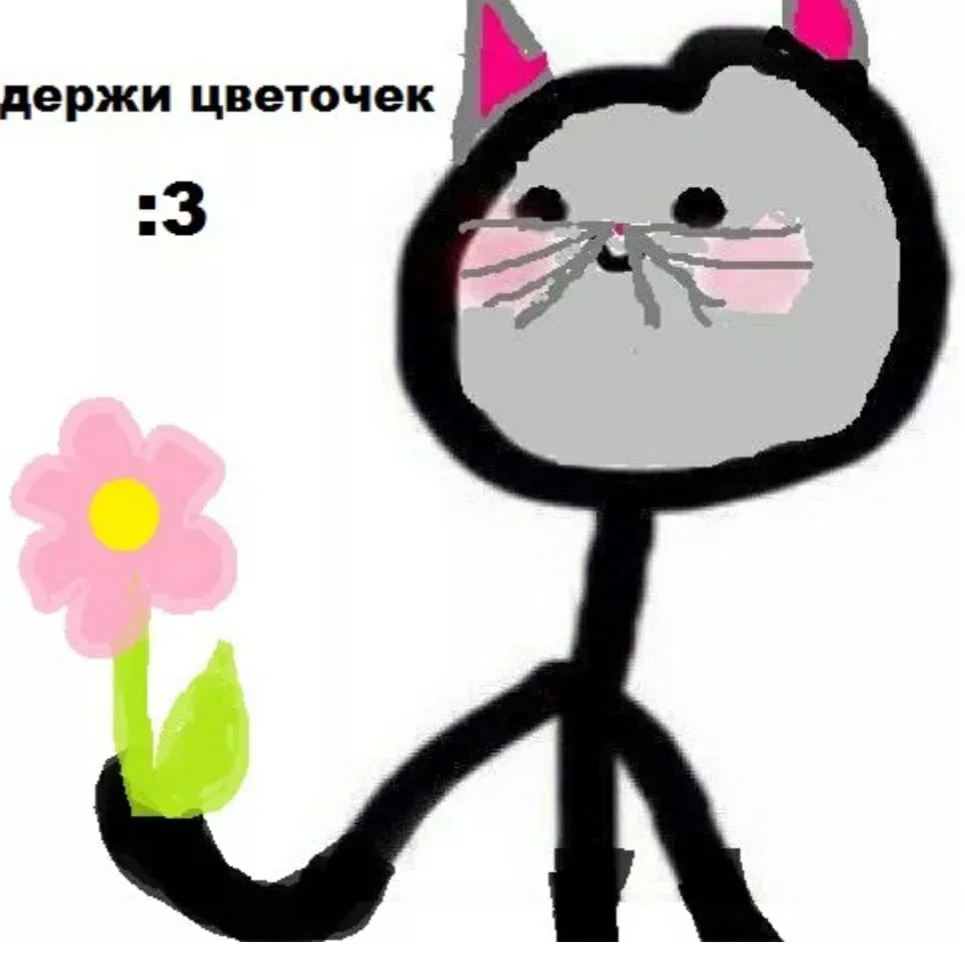 4ec3W9dqb8w (1).webp