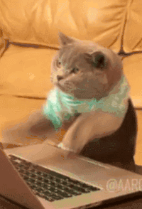 4f25b035e8f668b8c128c977dc93407a96cfae33_375.gif