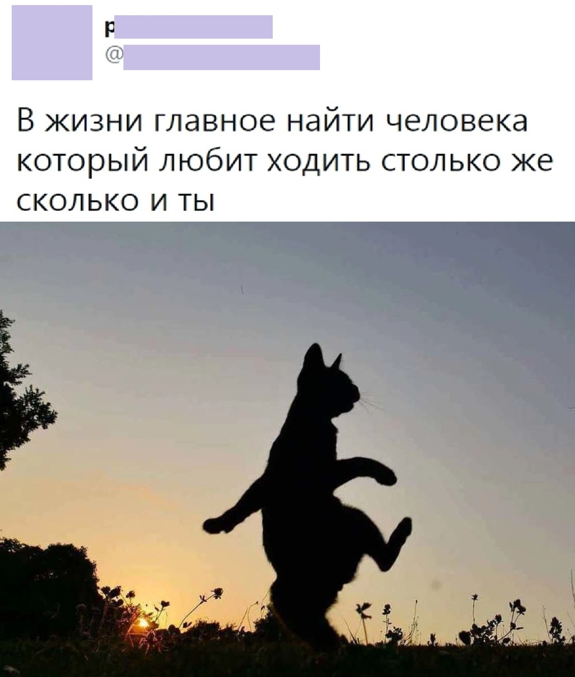 4FC3BBB1-4348-46C0-A232-B317CADA401C.png