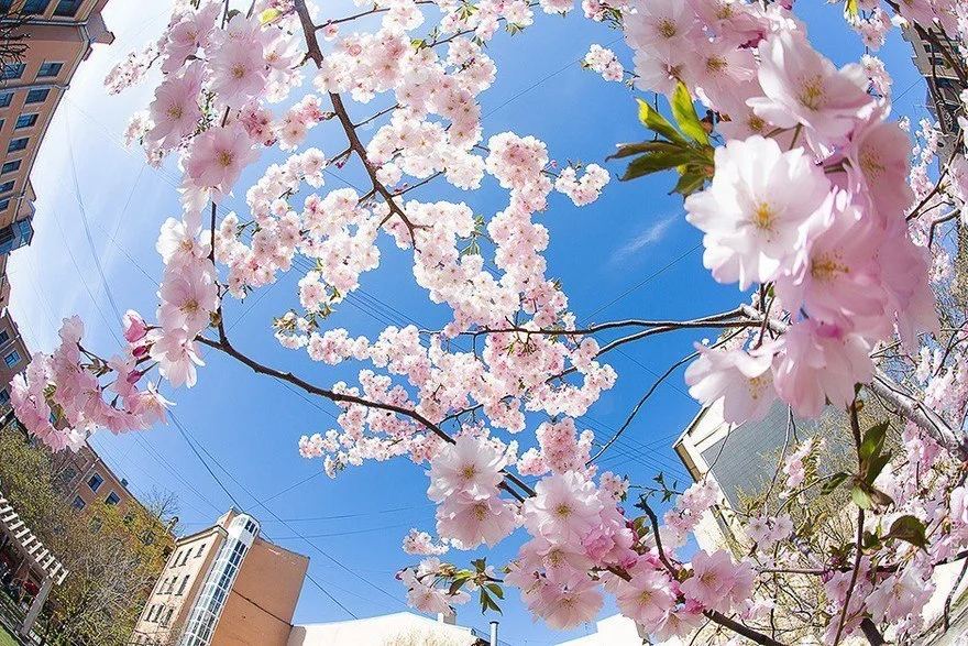 4IaUfPnV4W8 - копия.webp