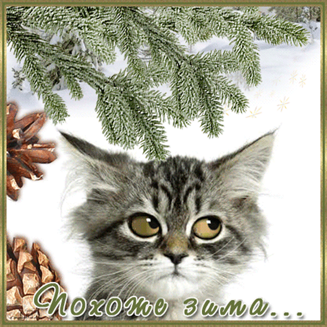 4p3bb6666nnd3ncc3d6d0531409c70dl.gif