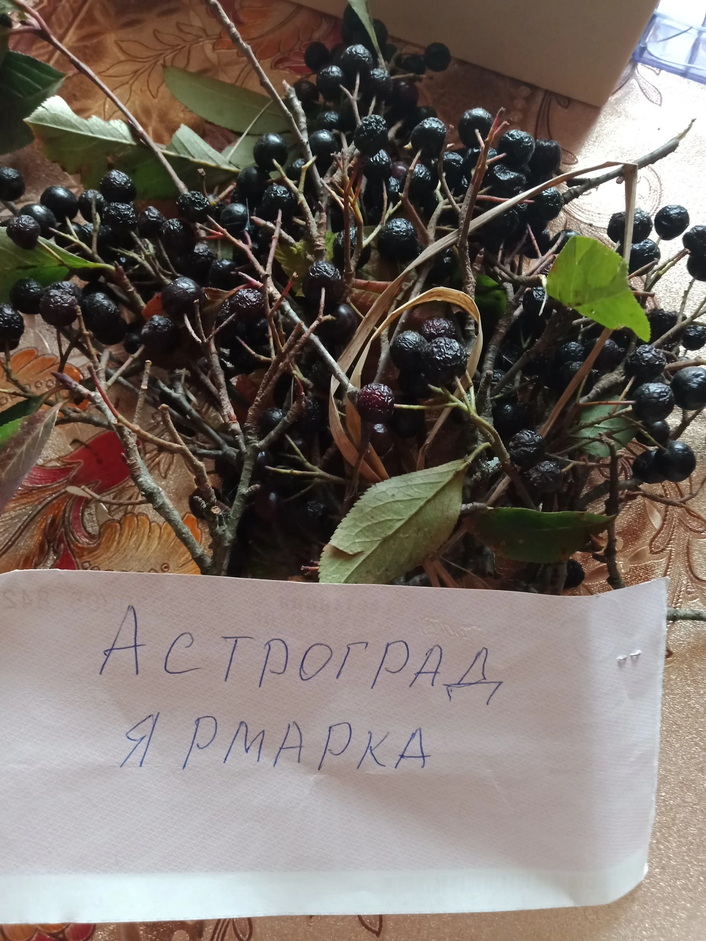 5. Бусы из рябины 1.webp