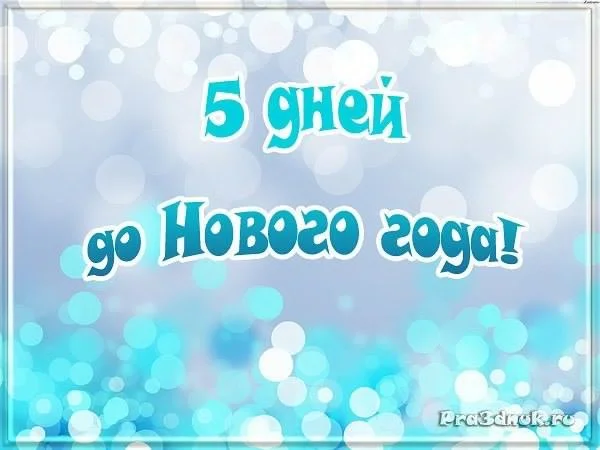 5-дней.webp