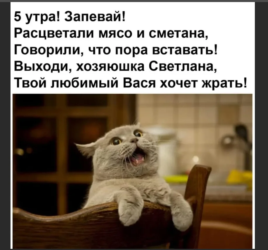5 утра.webp