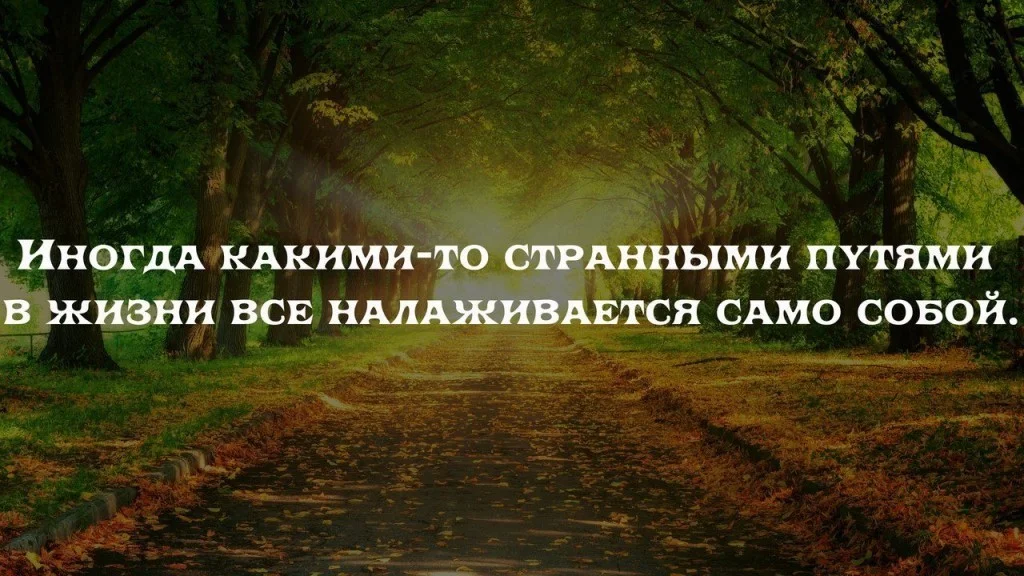 5.webp