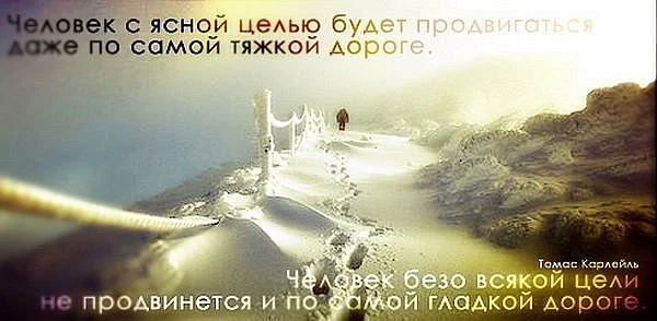 5.webp