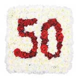 50.webp