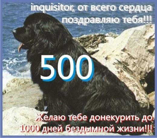 500_I.webp
