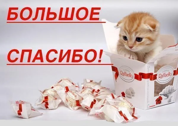 50277908_73.webp