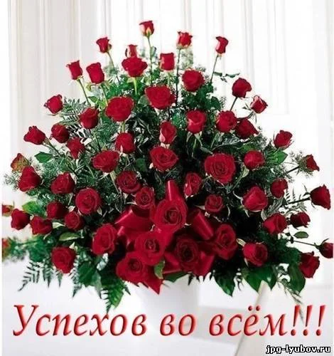505936685.webp