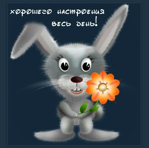 507788cd197cab8787d2ccf487945dca.webp