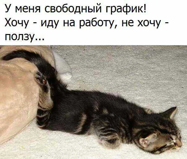 508fed9549ffe1e130033d97a1efdd3f.jpg
