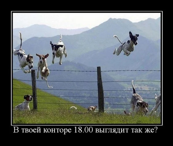 50d4c_demotivator026-Копировать.webp