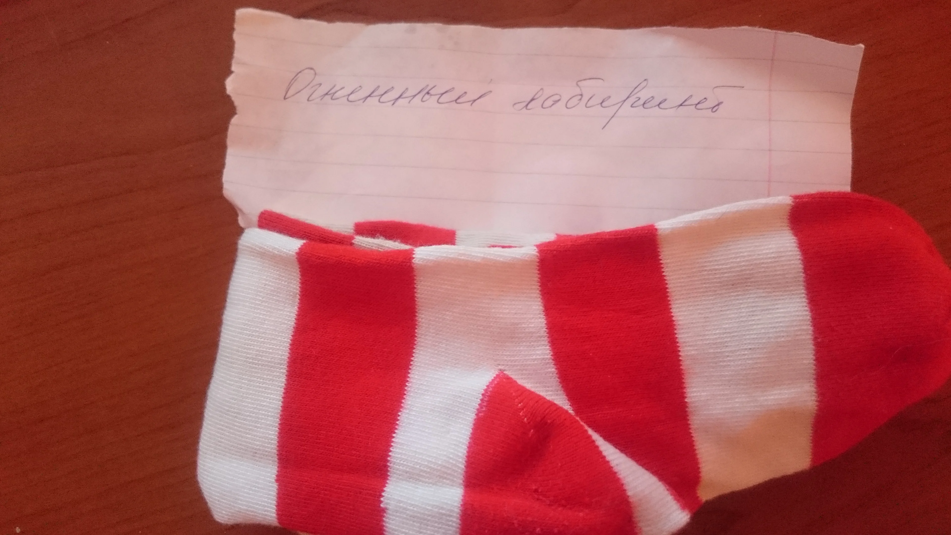 51 степаша.webp