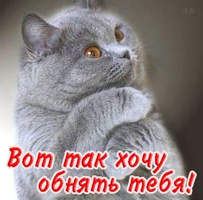 51.webp