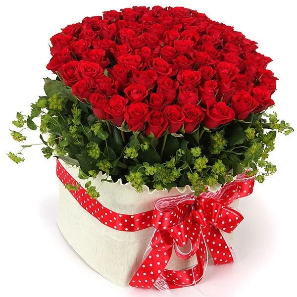 5121120.webp