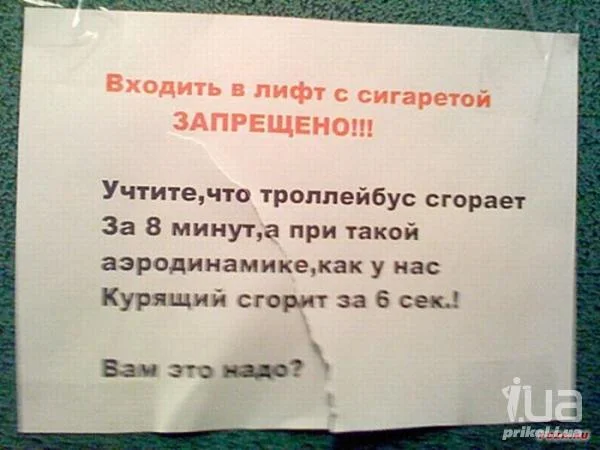516739.webp