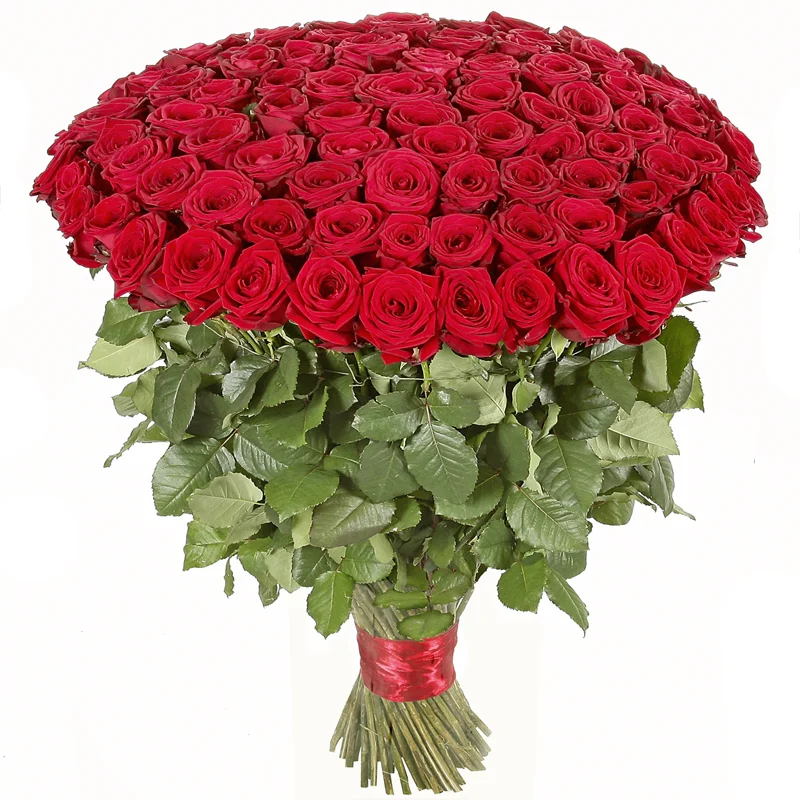 517840f51f7ed366f89f2633c.webp
