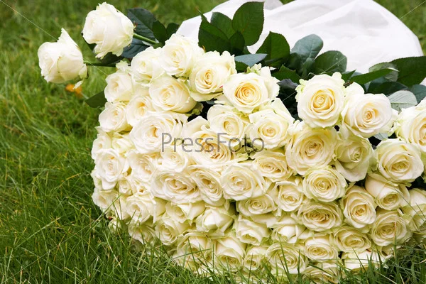 51962ad1b00aa4_b.webp