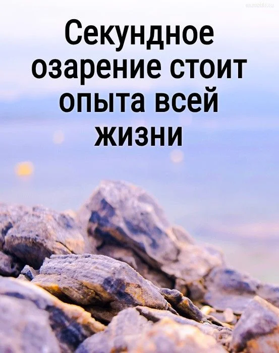 519a871f8199b71f4cbe437d88796408.webp