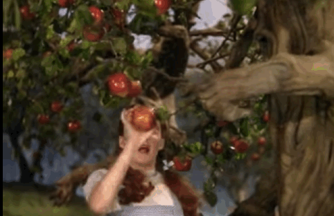 5204691_c068e450e303735ebcd1a3619ed8f454_800.gif