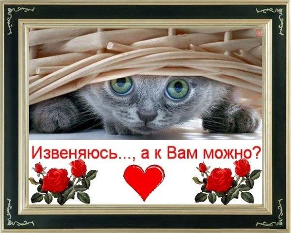 52048b695b661.webp